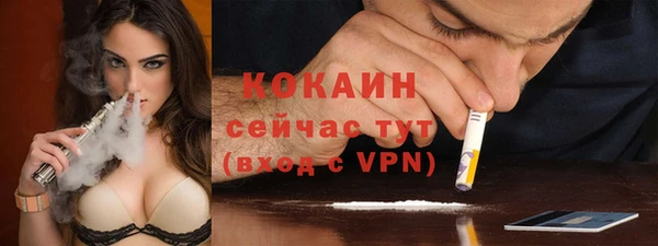 твердый Балахна